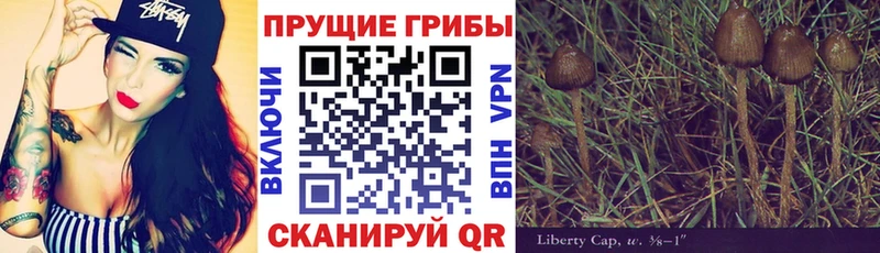 Псилоцибиновые грибы мицелий  Очёр 